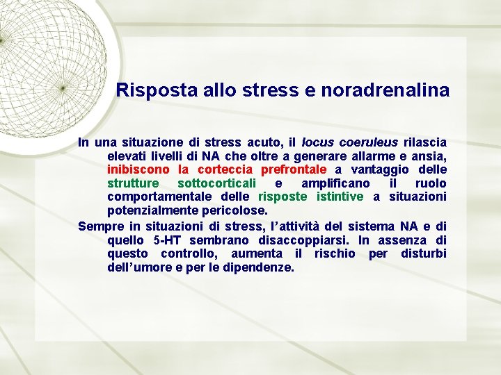 Risposta allo stress e noradrenalina In una situazione di stress acuto, il locus coeruleus