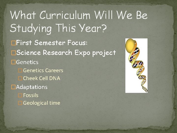 What Curriculum Will We Be Studying This Year? �First Semester Focus: �Science Research Expo