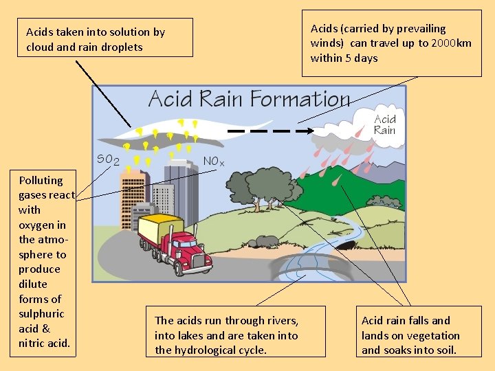 Acids taken into solution by cloud and rain droplets Polluting gases react with oxygen