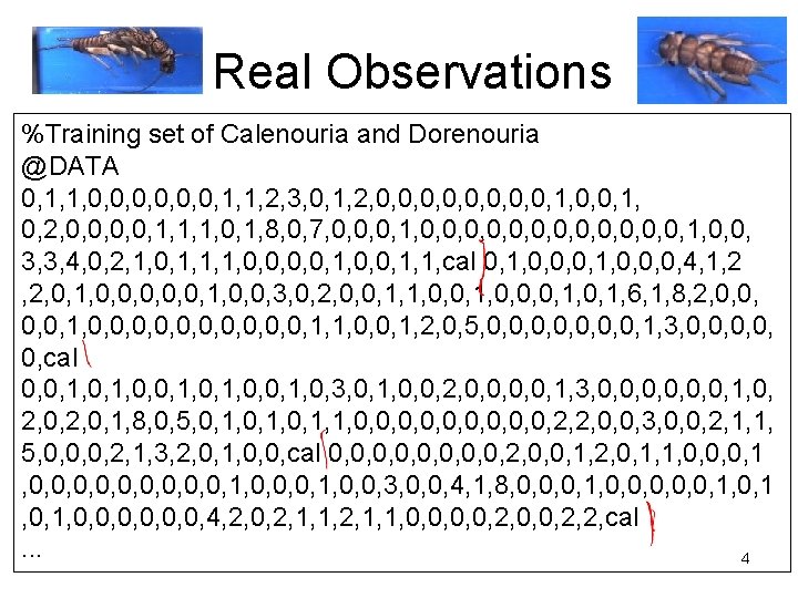 Real Observations %Training set of Calenouria and Dorenouria @DATA 0, 1, 1, 0, 0, Real Observations %Training set of Calenouria and Dorenouria @DATA 0, 1, 1, 0, 0,