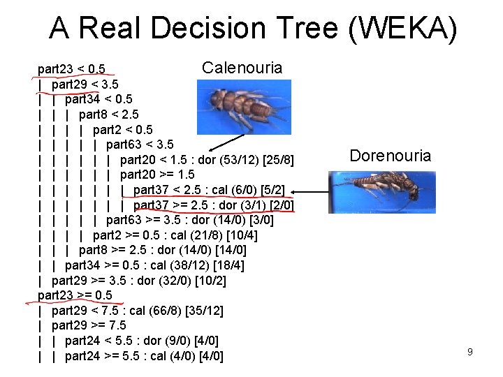 A Real Decision Tree (WEKA) Calenouria part 23 < 0. 5 | part 29 A Real Decision Tree (WEKA) Calenouria part 23 < 0. 5 | part 29