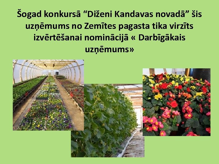 Šogad konkursā “Diženi Kandavas novadā” šis uzņēmums no Zemītes pagasta tika virzīts izvērtēšanai nominācijā