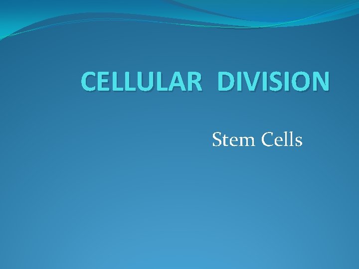 CELLULAR DIVISION Stem Cells 