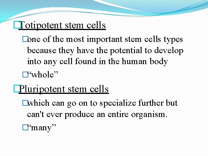 �Totipotent stem cells �one of the most important stem cells types because they have �Totipotent stem cells �one of the most important stem cells types because they have