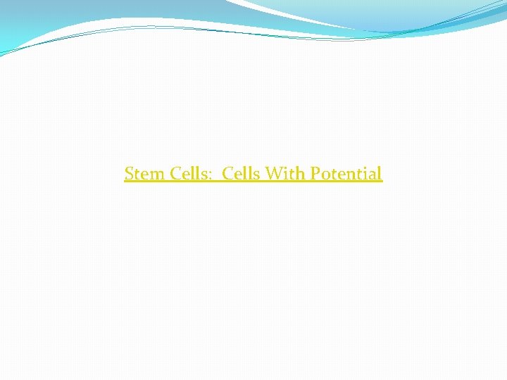 Stem Cells: Cells With Potential 