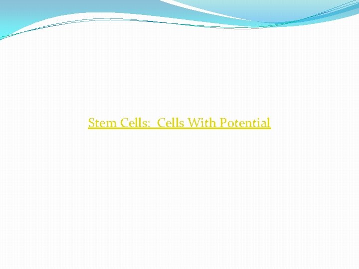 Stem Cells: Cells With Potential Stem Cells: Cells With Potential