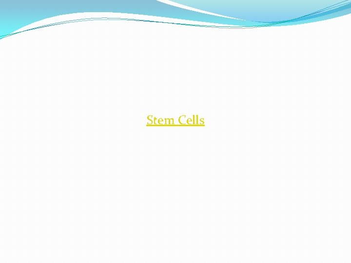 Stem Cells 