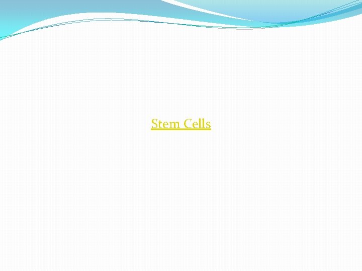Stem Cells Stem Cells