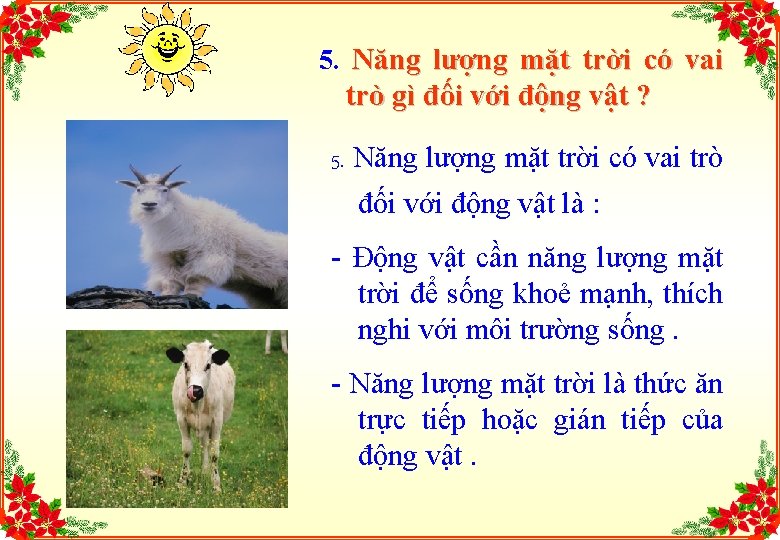 5. Năng lượng mặt trời có vai trò gì đối với động vật ?