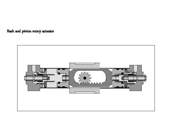 Rack and pinion rotary actuator 