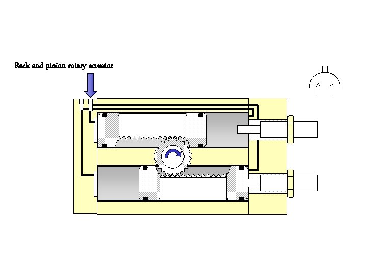 Rack and pinion rotary actuator 