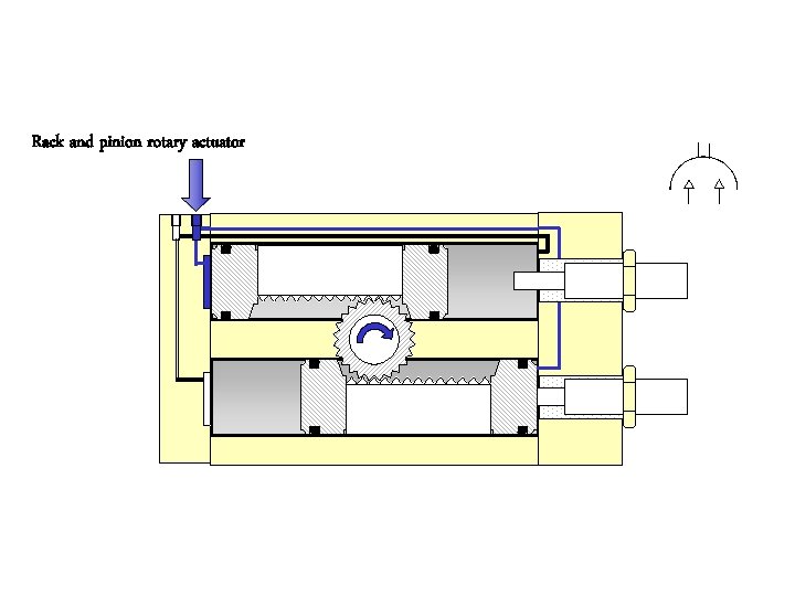 Rack and pinion rotary actuator 