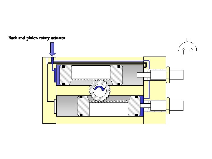 Rack and pinion rotary actuator 