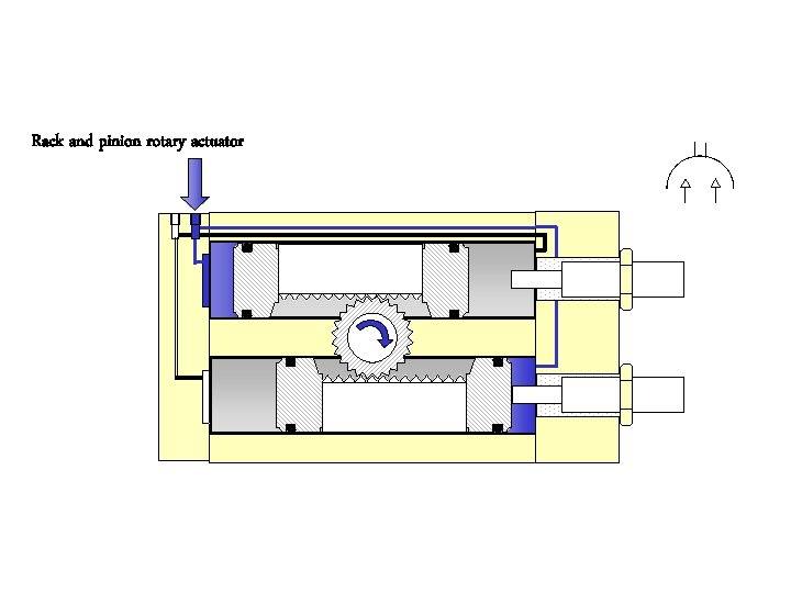 Rack and pinion rotary actuator 