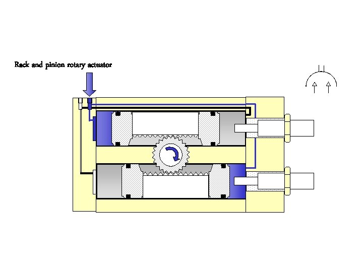 Rack and pinion rotary actuator 