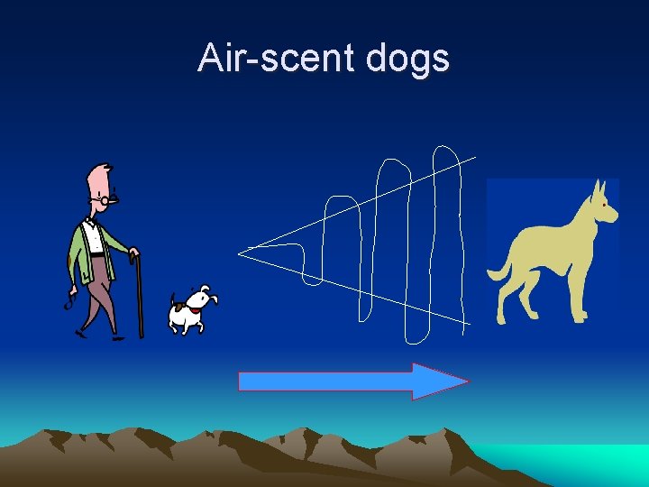 Air-scent dogs 