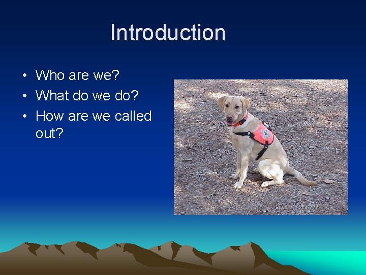 Introduction • Who are we? • What do we do? • How are we