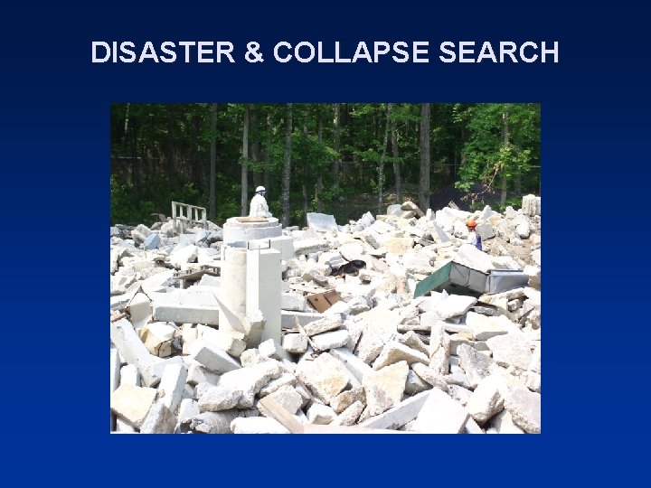 DISASTER & COLLAPSE SEARCH 