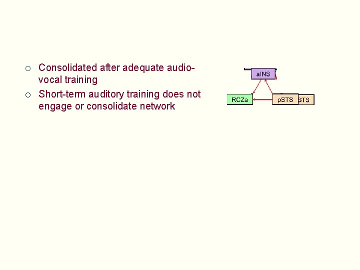 ¡ ¡ Consolidated after adequate audiovocal training Short-term auditory training does not engage or