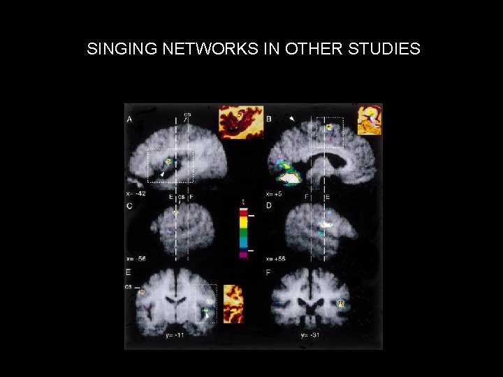 SINGING NETWORKS IN OTHER STUDIES 