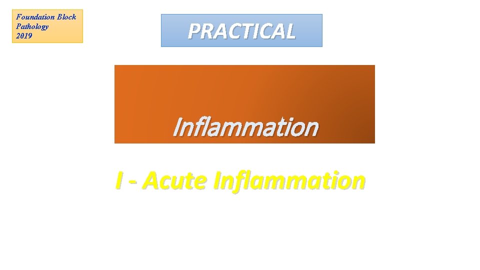 Foundation Block Pathology 2019 PRACTICAL Inflammation I - Acute Inflammation 