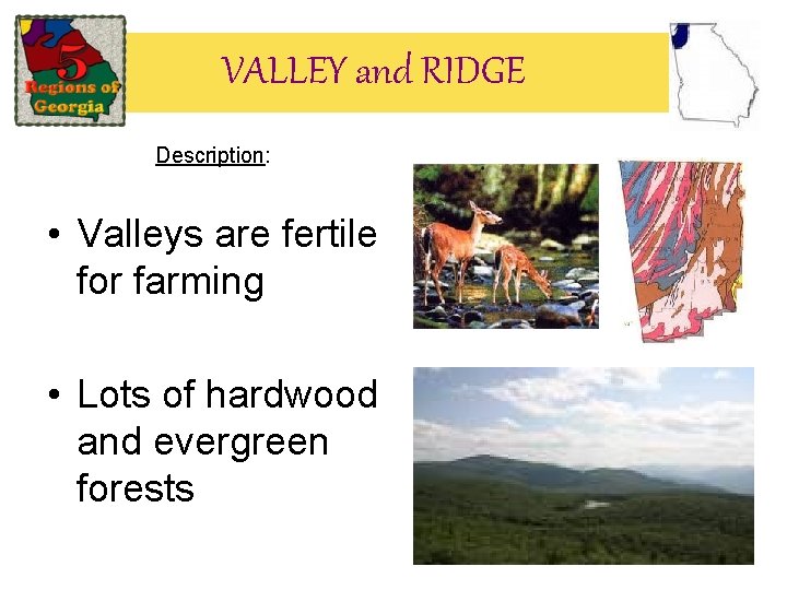 VALLEY and RIDGE Description: • Valleys are fertile for farming • Lots of hardwood