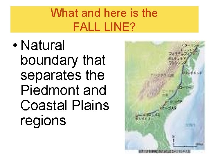 What and here is the FALL LINE? • Natural boundary that separates the Piedmont