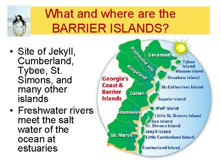 What and where are the BARRIER ISLANDS? • Site of Jekyll, Cumberland, Tybee, St.