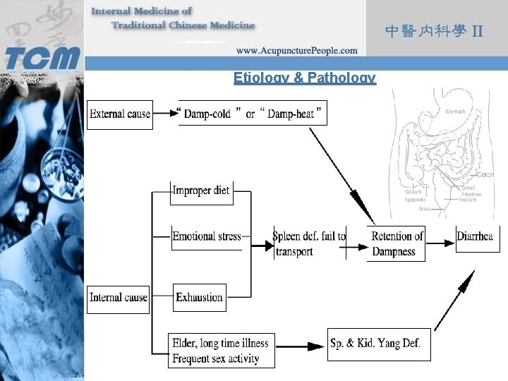 Etiology & Pathology 