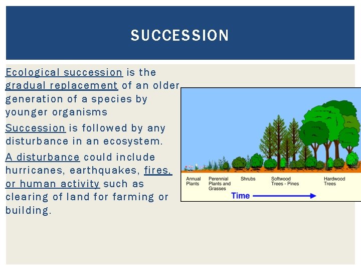 SUCCESSION Ecological succession is the gradual replacement of an older generation of a species