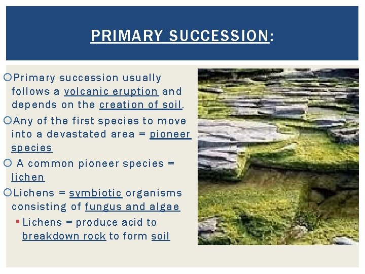 PRIMARY SUCCESSION: Primary succession usually follows a volcanic eruption and depends on the creation