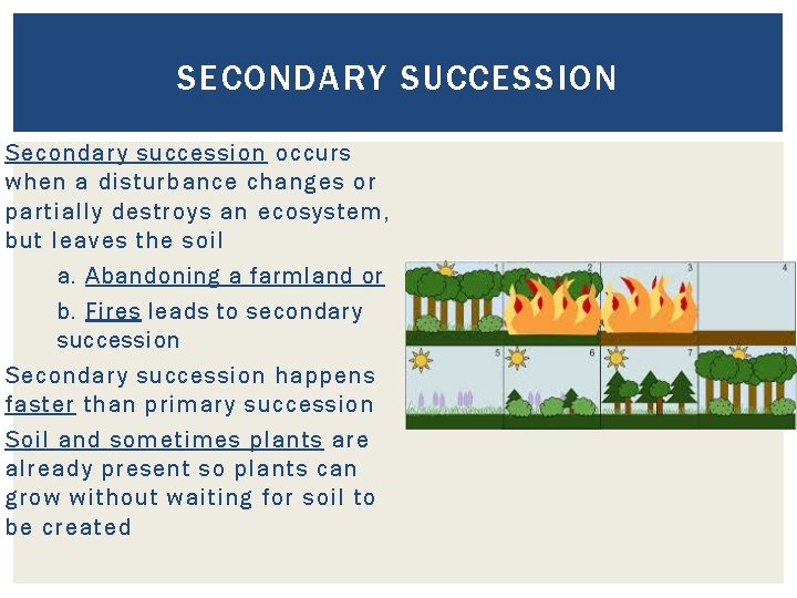 SECONDARY SUCCESSION Secondary succession occurs when a disturbance changes or partially destroys an ecosystem,