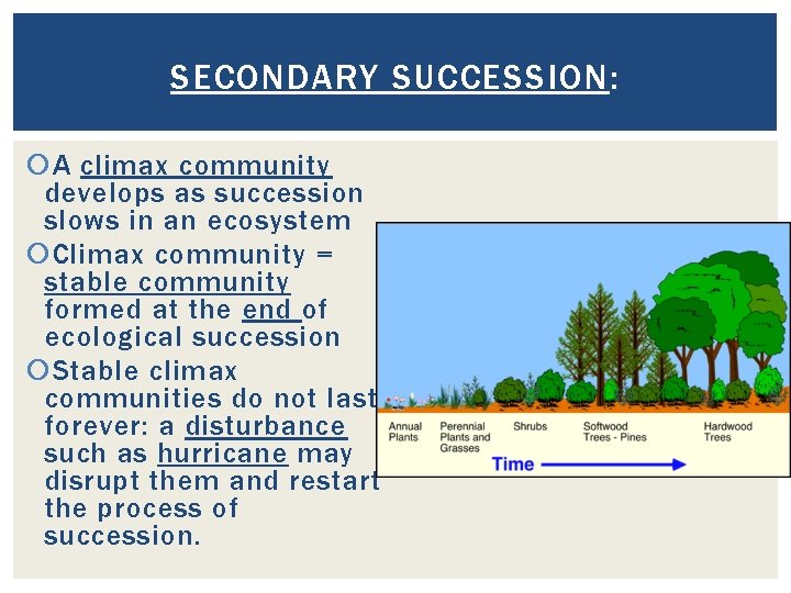 SECONDARY SUCCESSION: A climax community develops as succession slows in an ecosystem Climax community