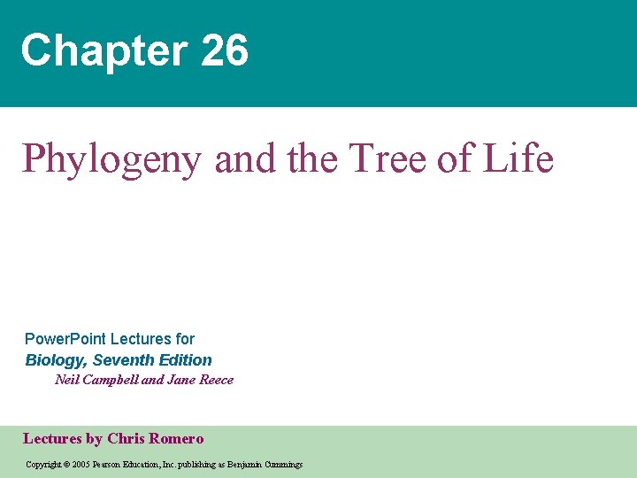 Chapter 26 Phylogeny and the Tree of Life