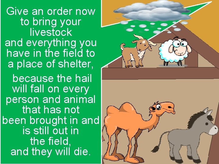 Give an order now to bring your livestock and everything you have in the