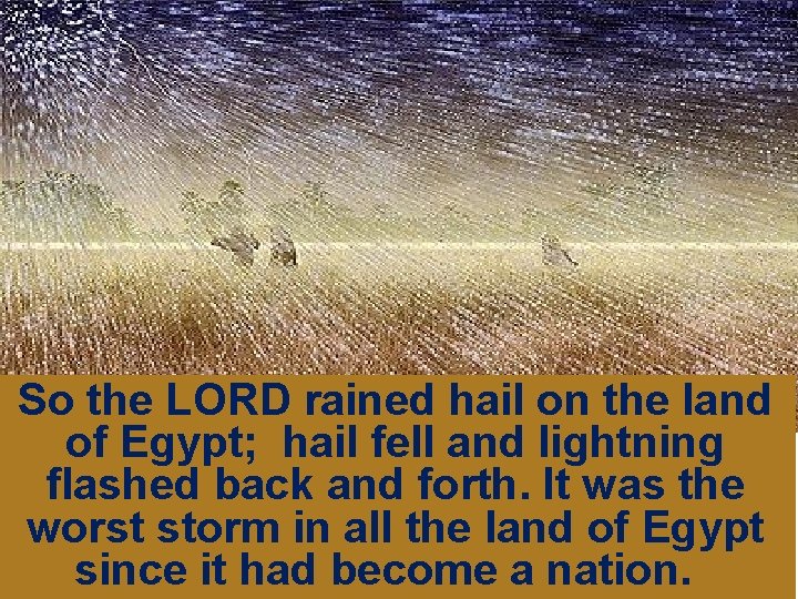 So the LORD rained hail on the land of Egypt; hail fell and lightning