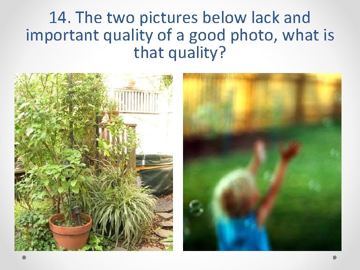 14. The two pictures below lack and important quality of a good photo, what