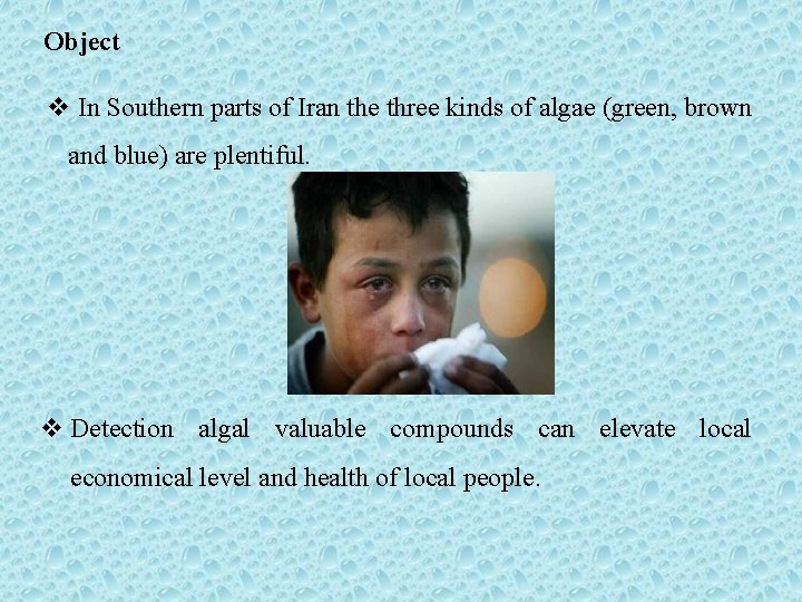 Object v In Southern parts of Iran the three kinds of algae (green, brown