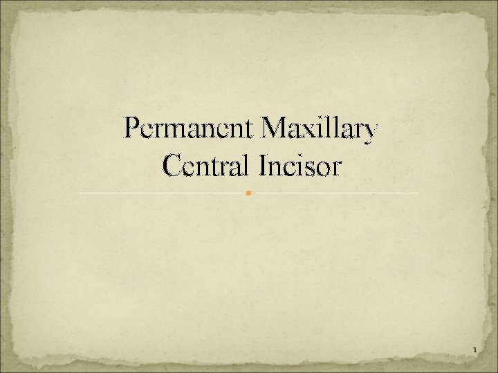 Permanent Maxillary Central Incisor 1 