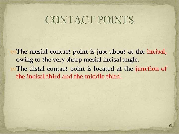 CONTACT POINTS The mesial contact point is just about at the incisal, owing to