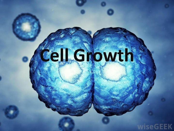 Cell Growth 