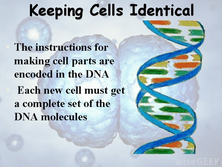 Keeping Cells Identical • The instructions for making cell parts are encoded in the