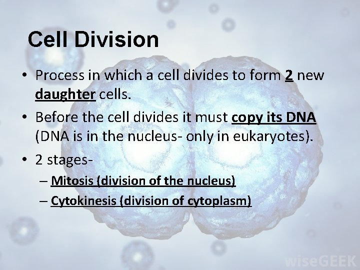 Cell Division • Process in which a cell divides to form 2 new daughter