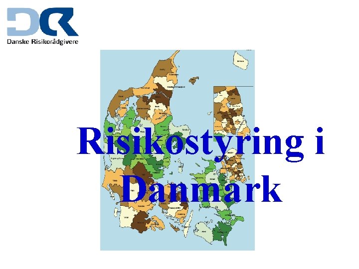Risikostyring i Danmark 