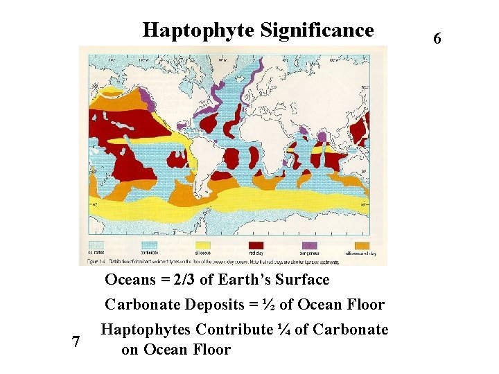 Haptophyte Significance 7 Oceans = 2/3 of Earth’s Surface Carbonate Deposits = ½ of