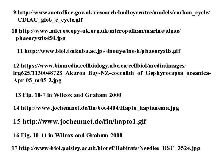 9 http: //www. metoffice. gov. uk/research/hadleycentre/models/carbon_cycle/ CDIAC_glob_c_cycle. gif 10 http: //www. microscopy-uk. org. uk/micropolitan/marine/algae/