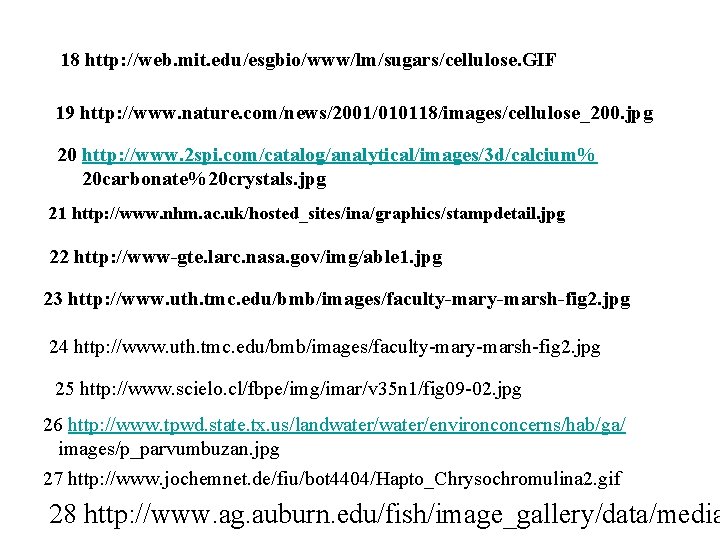 18 http: //web. mit. edu/esgbio/www/lm/sugars/cellulose. GIF 19 http: //www. nature. com/news/2001/010118/images/cellulose_200. jpg 20 http: