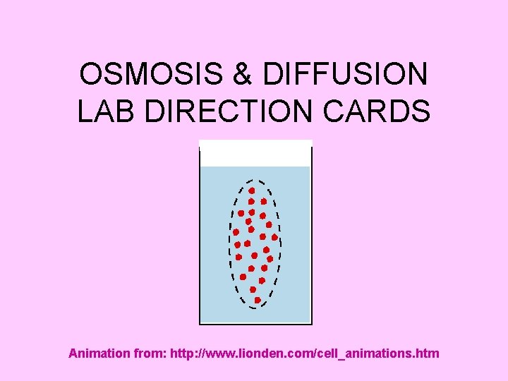 OSMOSIS DIFFUSION LAB DIRECTION CARDS Animation from http