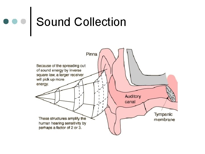 Sound Collection 