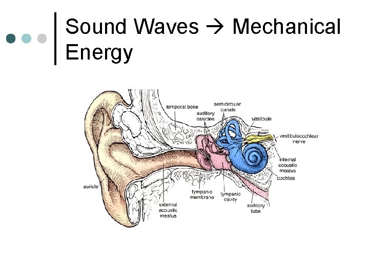Sound Waves Mechanical Energy 
